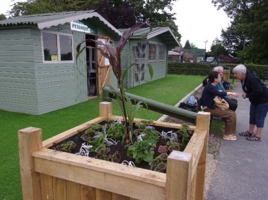 KODAK Digital Still Camera